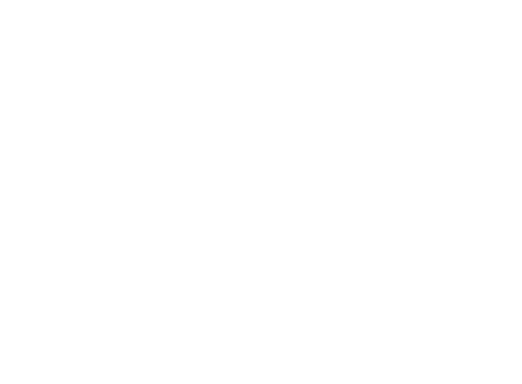 Vector New York